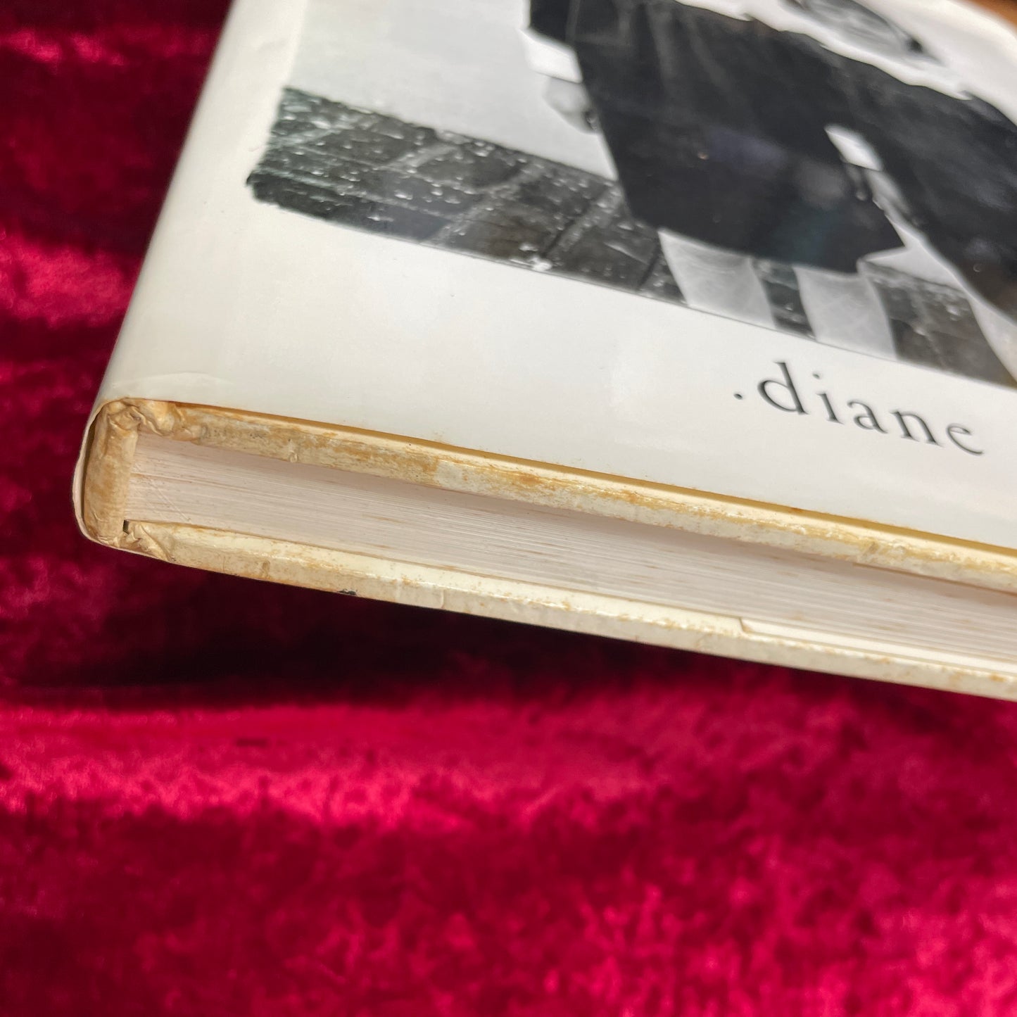 .diane arbus. 洋書　ダイアン・アーバス Diane Arbus