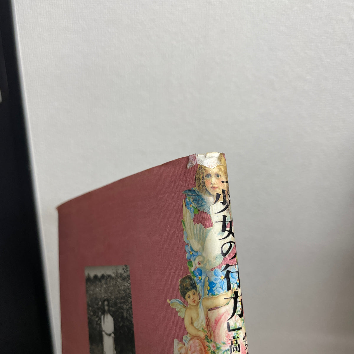 少女の行方 : 高橋かおり