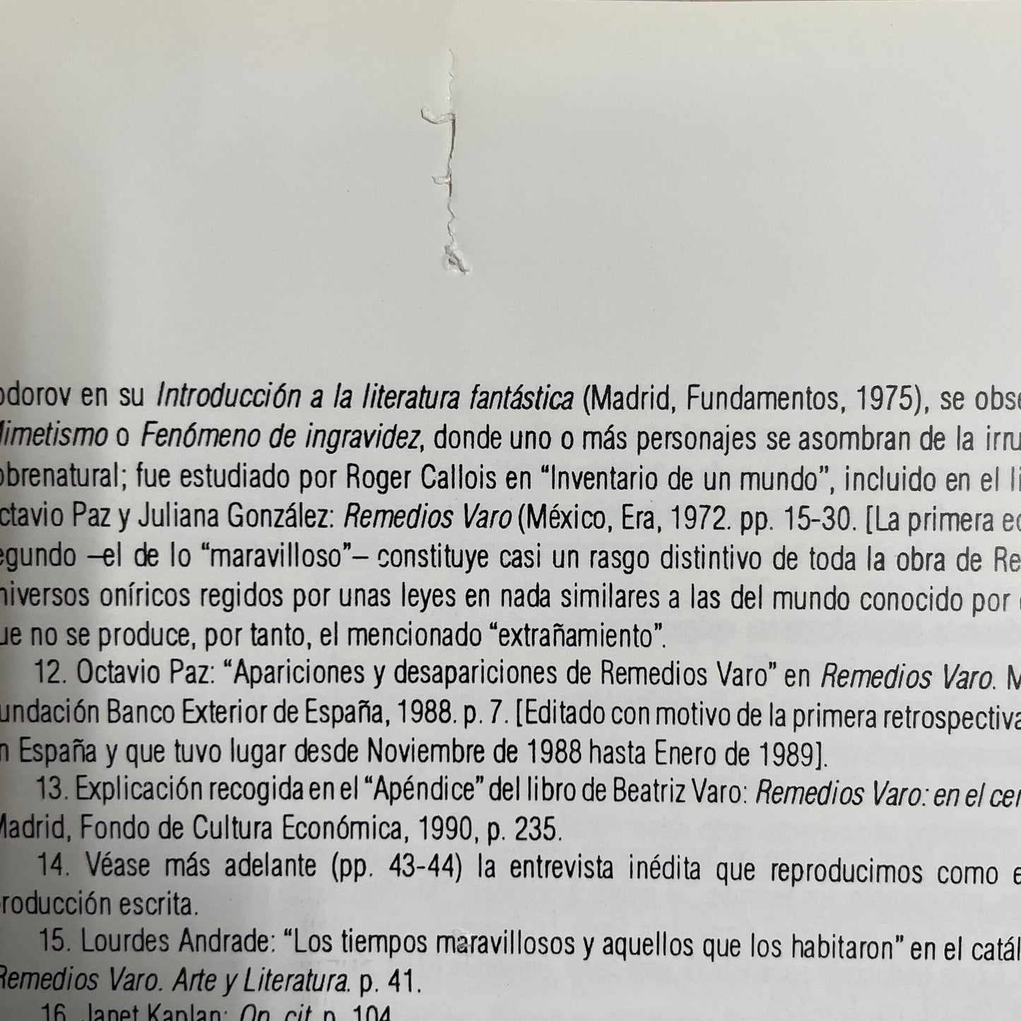 Remedios Varo: Cartas, sueños y otros textos　レメディオス・ヴァロ　洋書