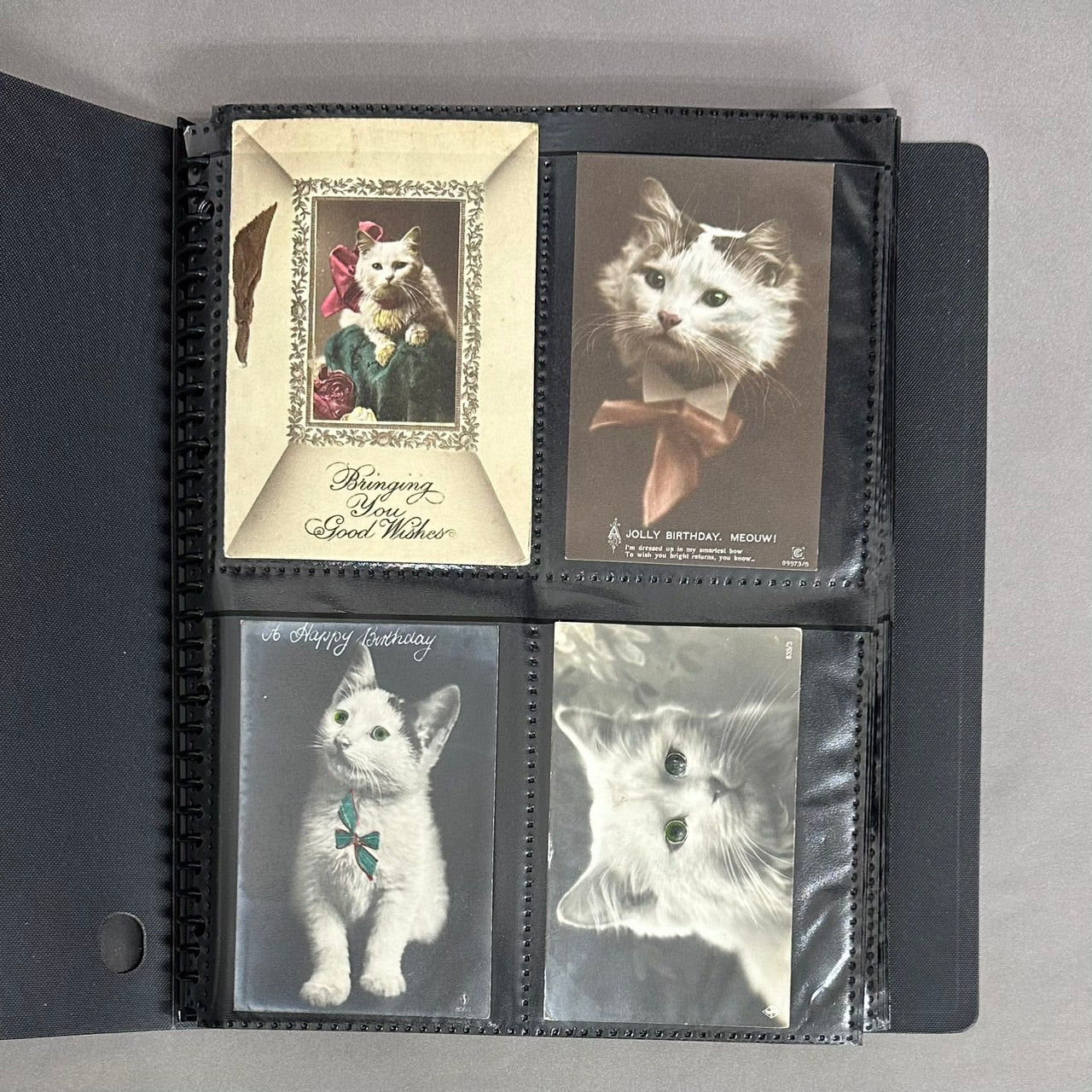 猫・犬　林由紀子さんの絵葉書コレクション　217枚