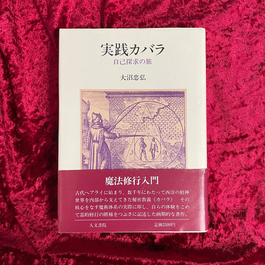 実践カバラ : 自己探求の旅