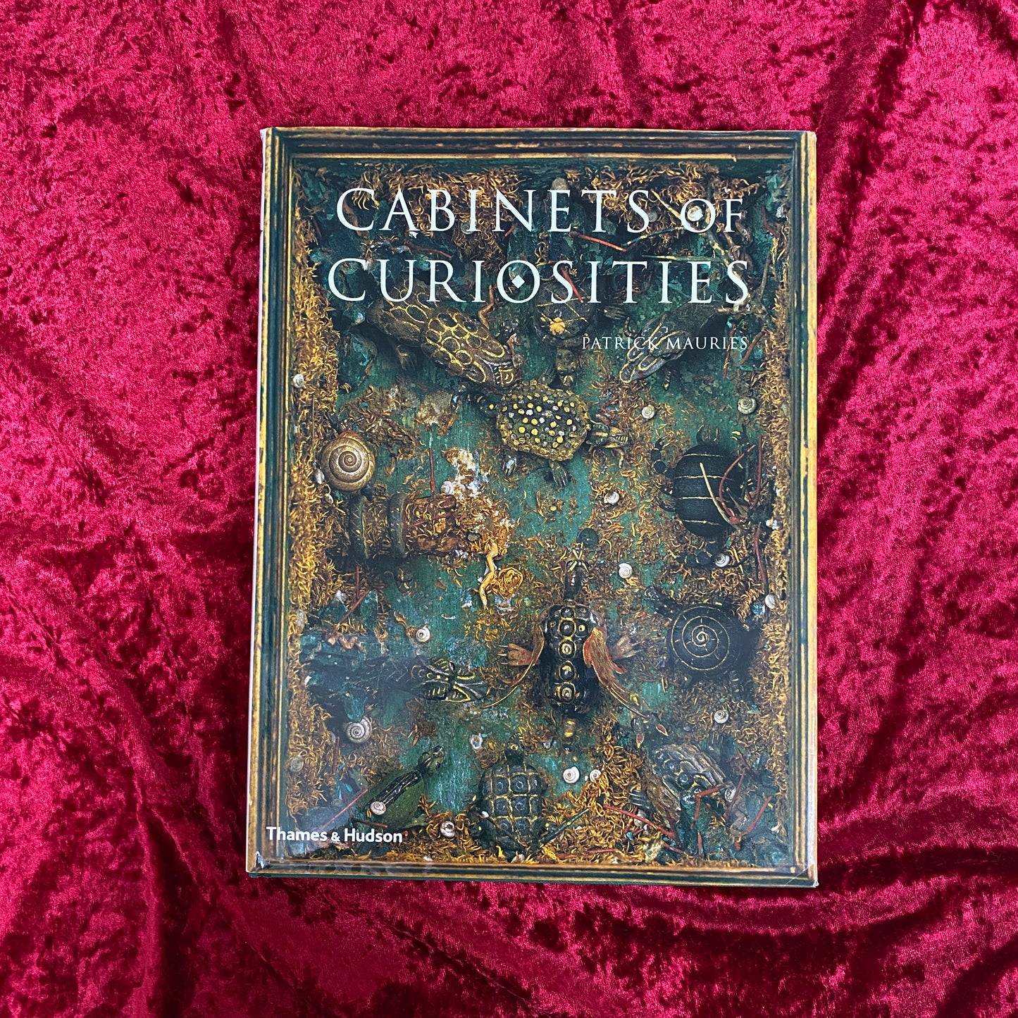 Cabinets of Curiosities 洋書
