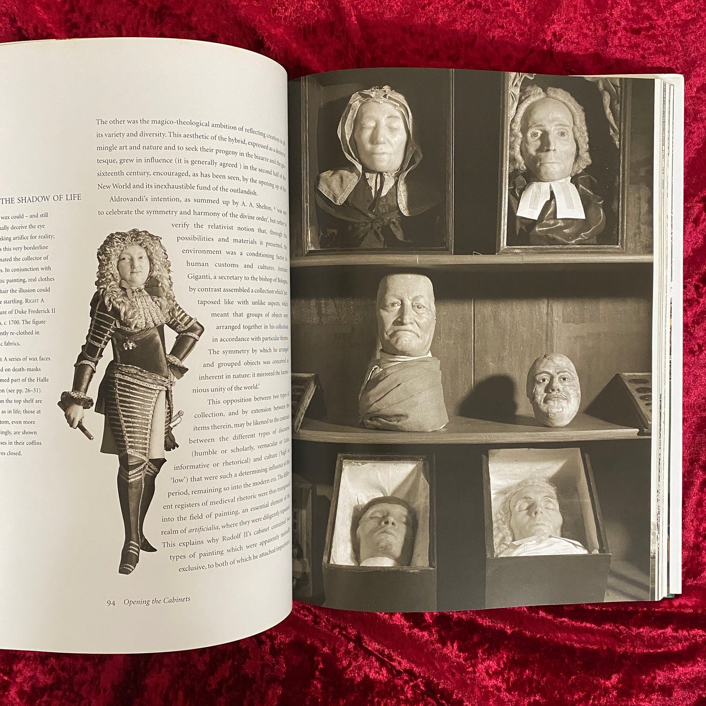 Cabinets of Curiosities 洋書