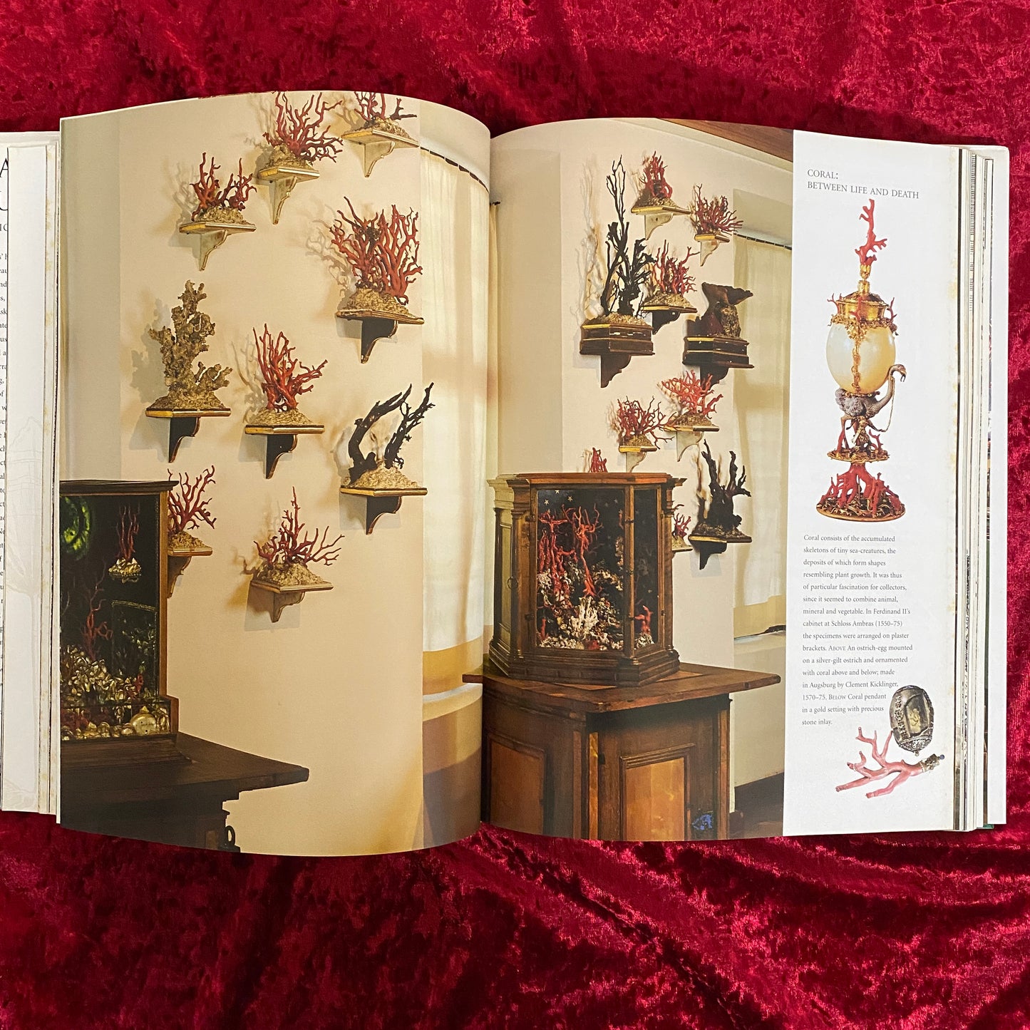 Cabinets of Curiosities 洋書