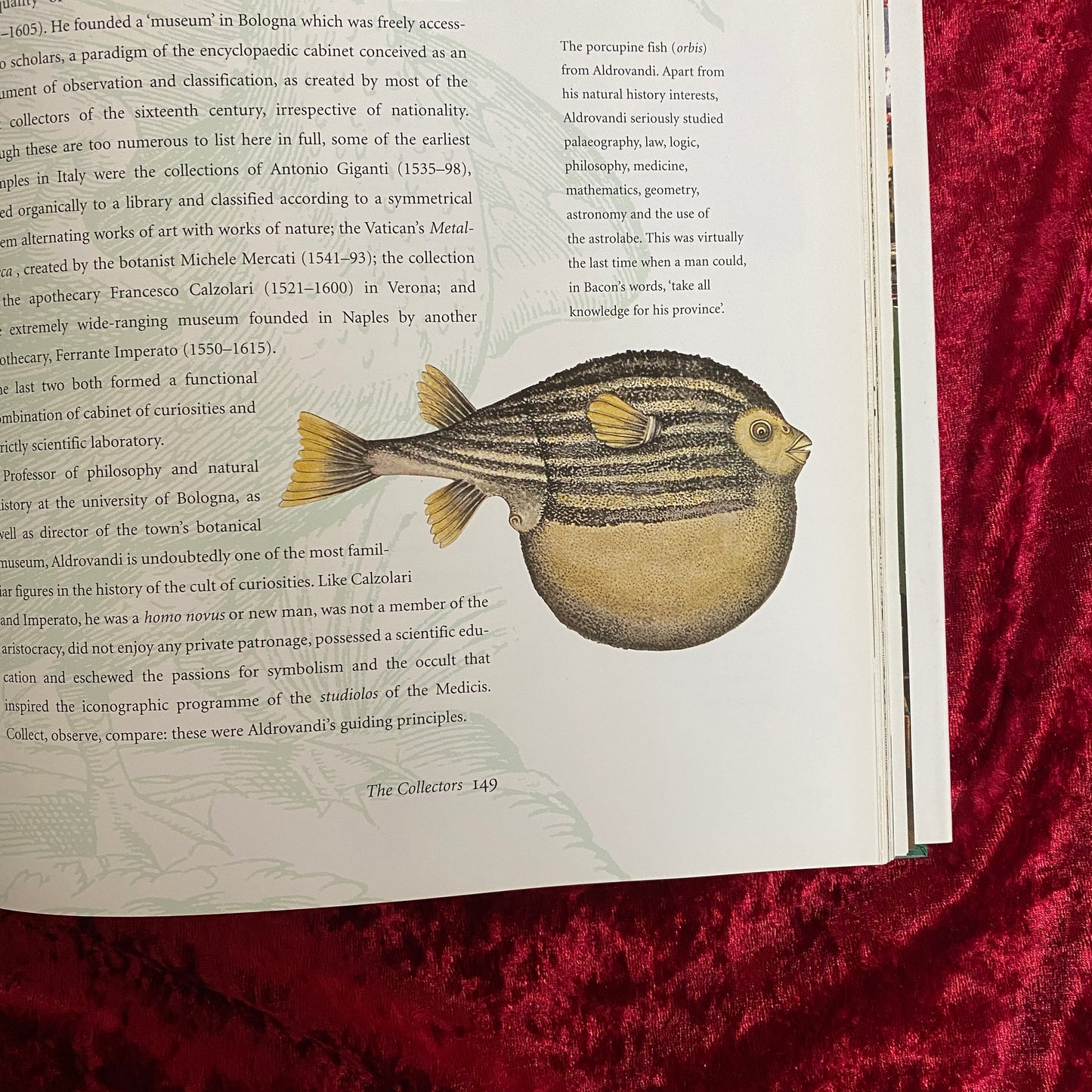 Cabinets of Curiosities 洋書