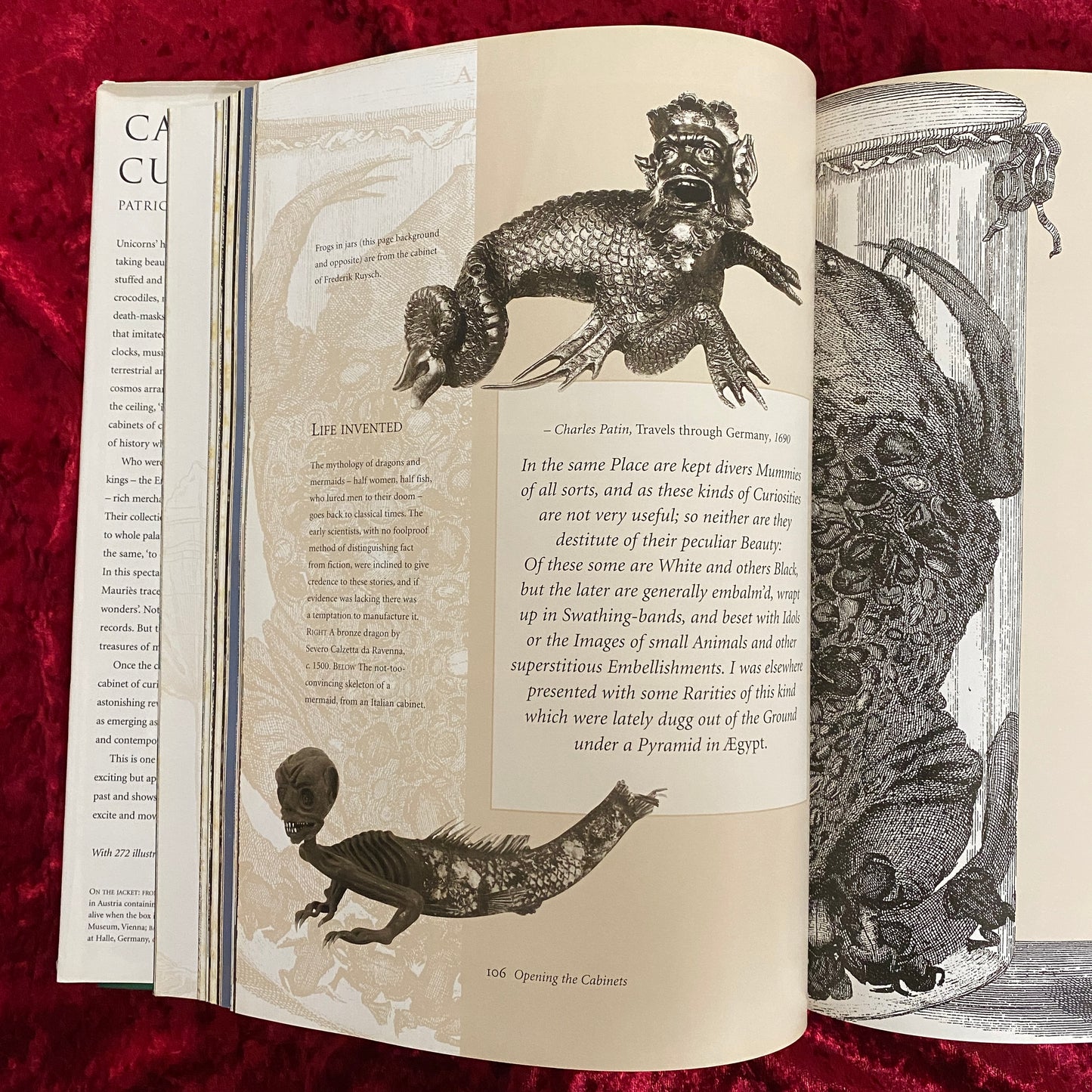 Cabinets of Curiosities 洋書