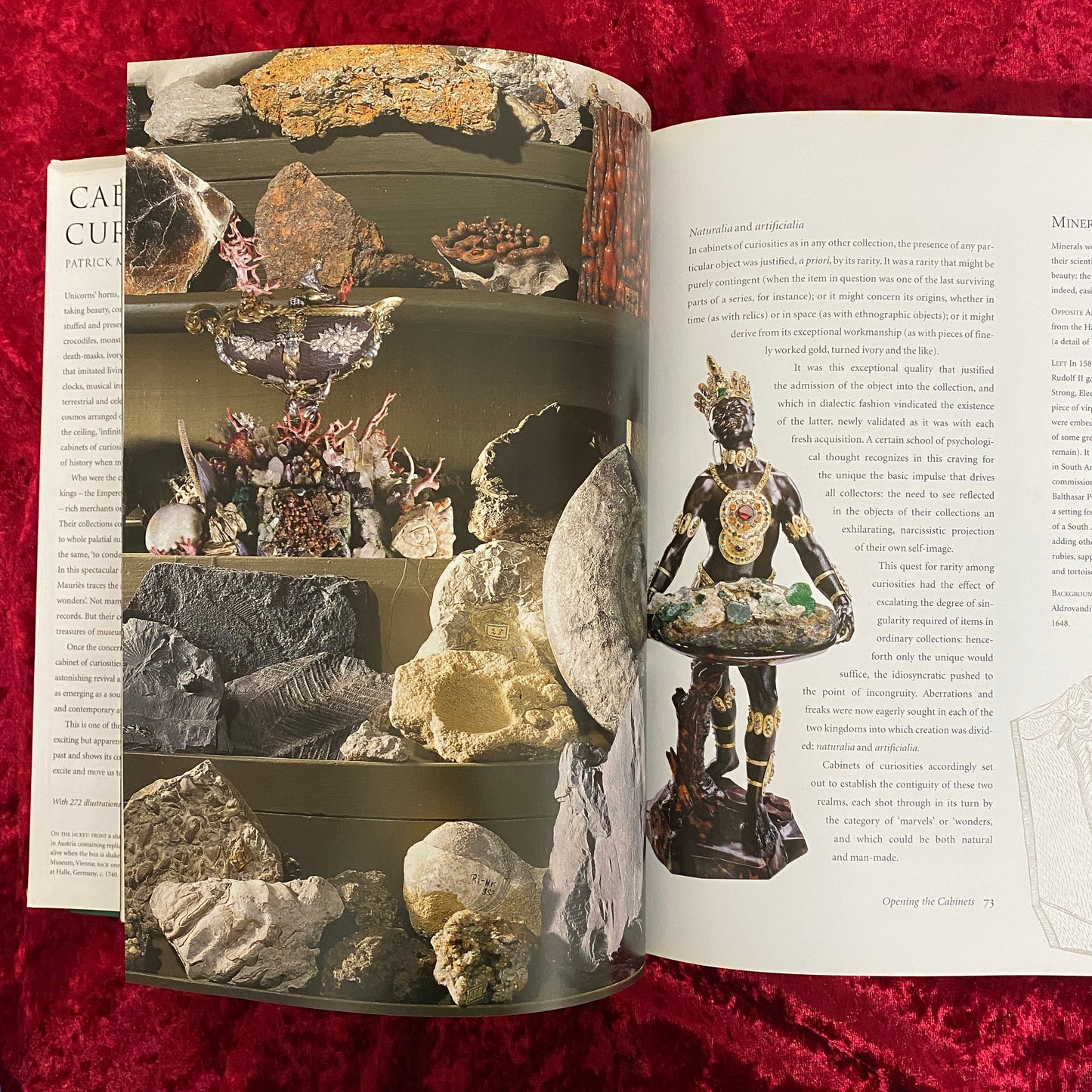 Cabinets of Curiosities 洋書