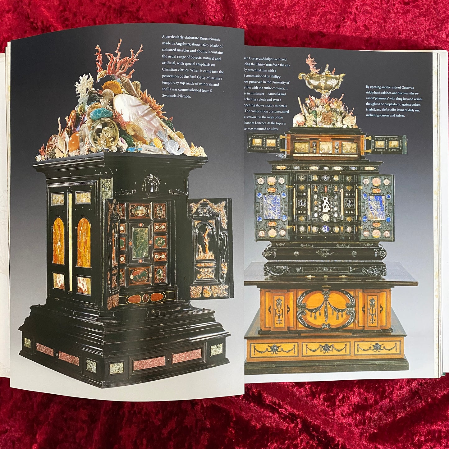 Cabinets of Curiosities 洋書