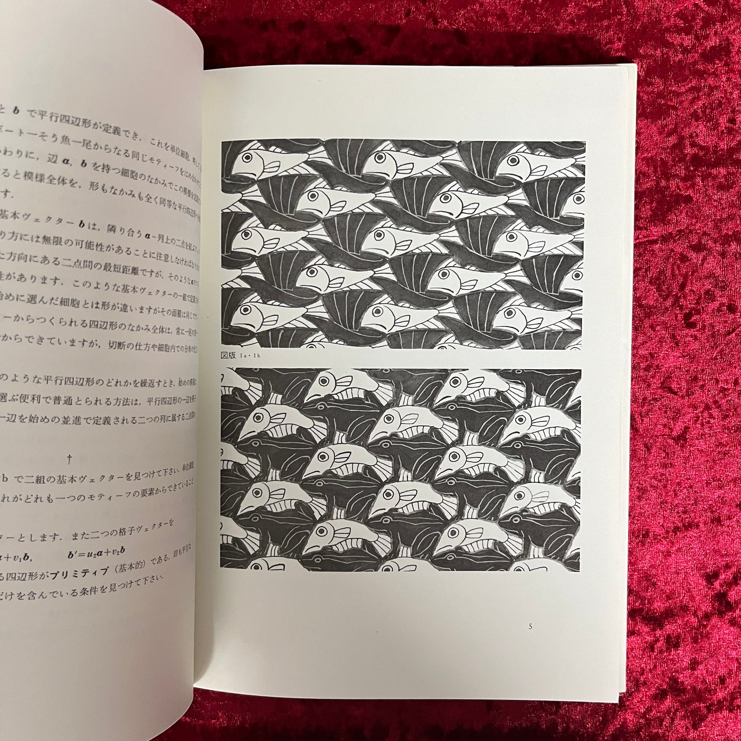 エッシャー<シンメトリーの世界> ＜サイエンス叢書 P-2＞