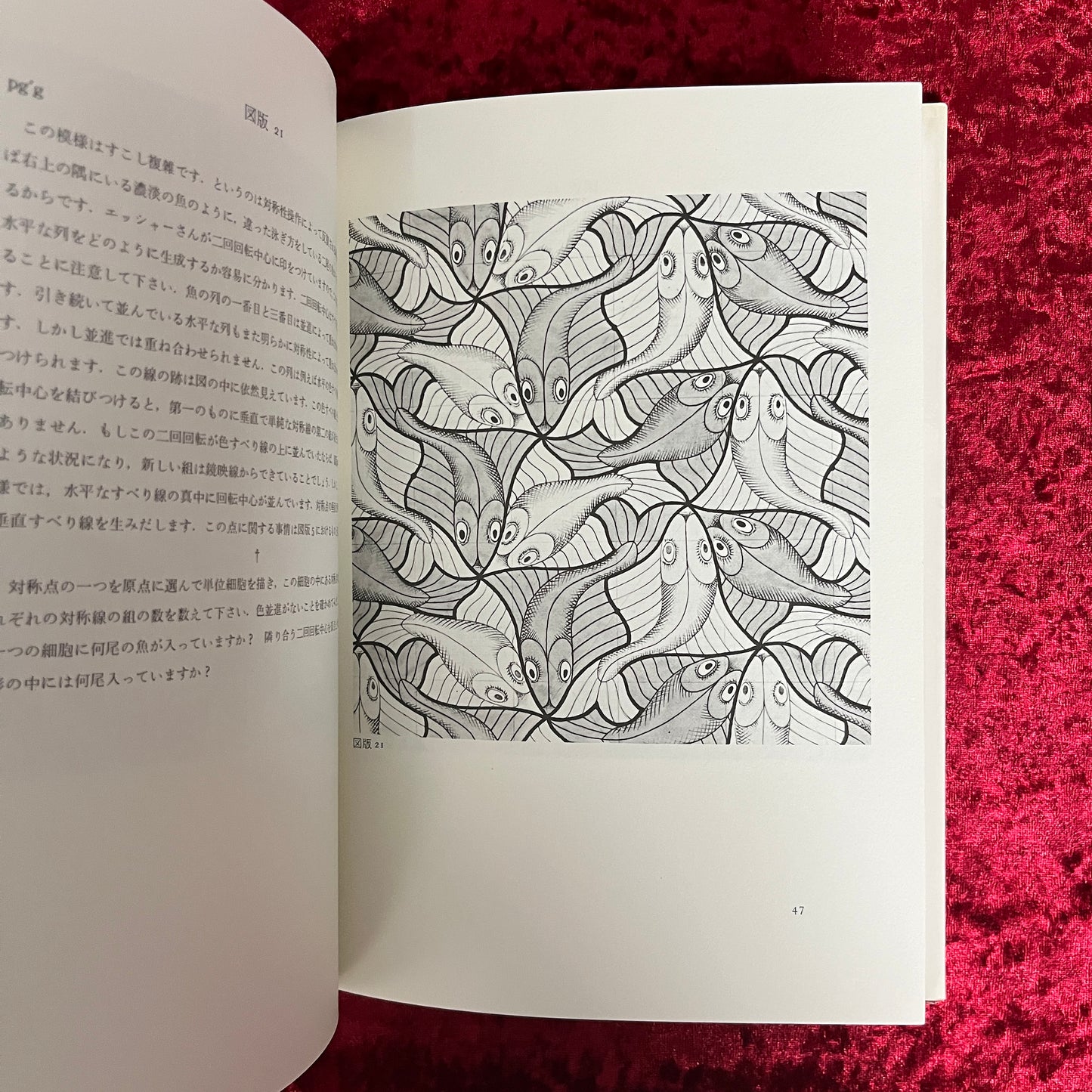 エッシャー<シンメトリーの世界> ＜サイエンス叢書 P-2＞