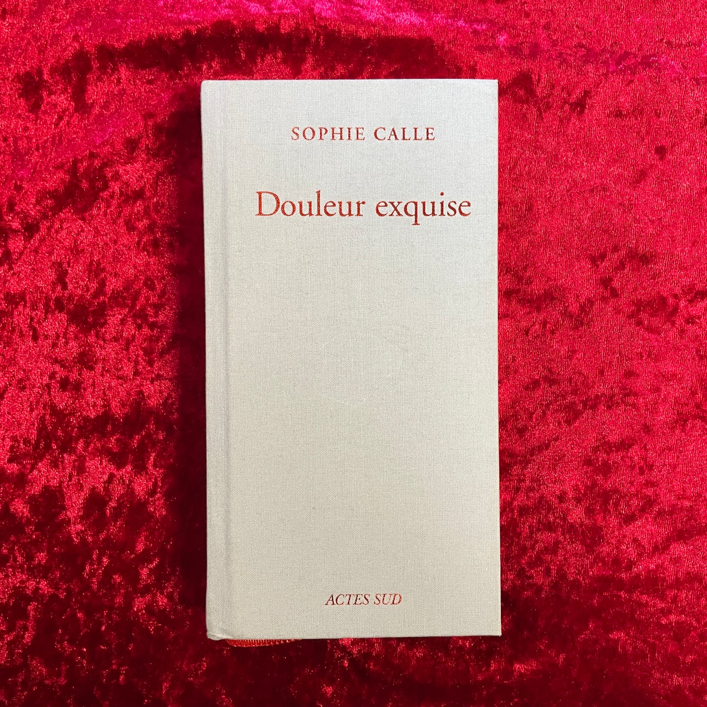 Douleur exquise (限局性激痛)   ソフィ・カル 洋書
