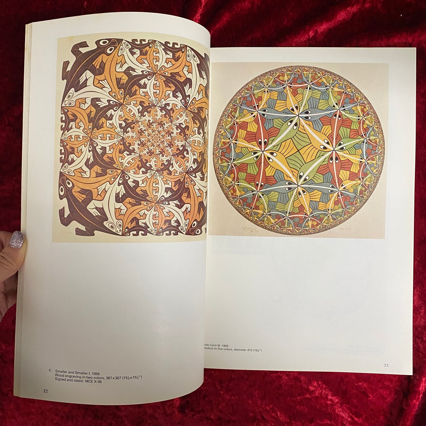 The World Of M C Escher　洋書