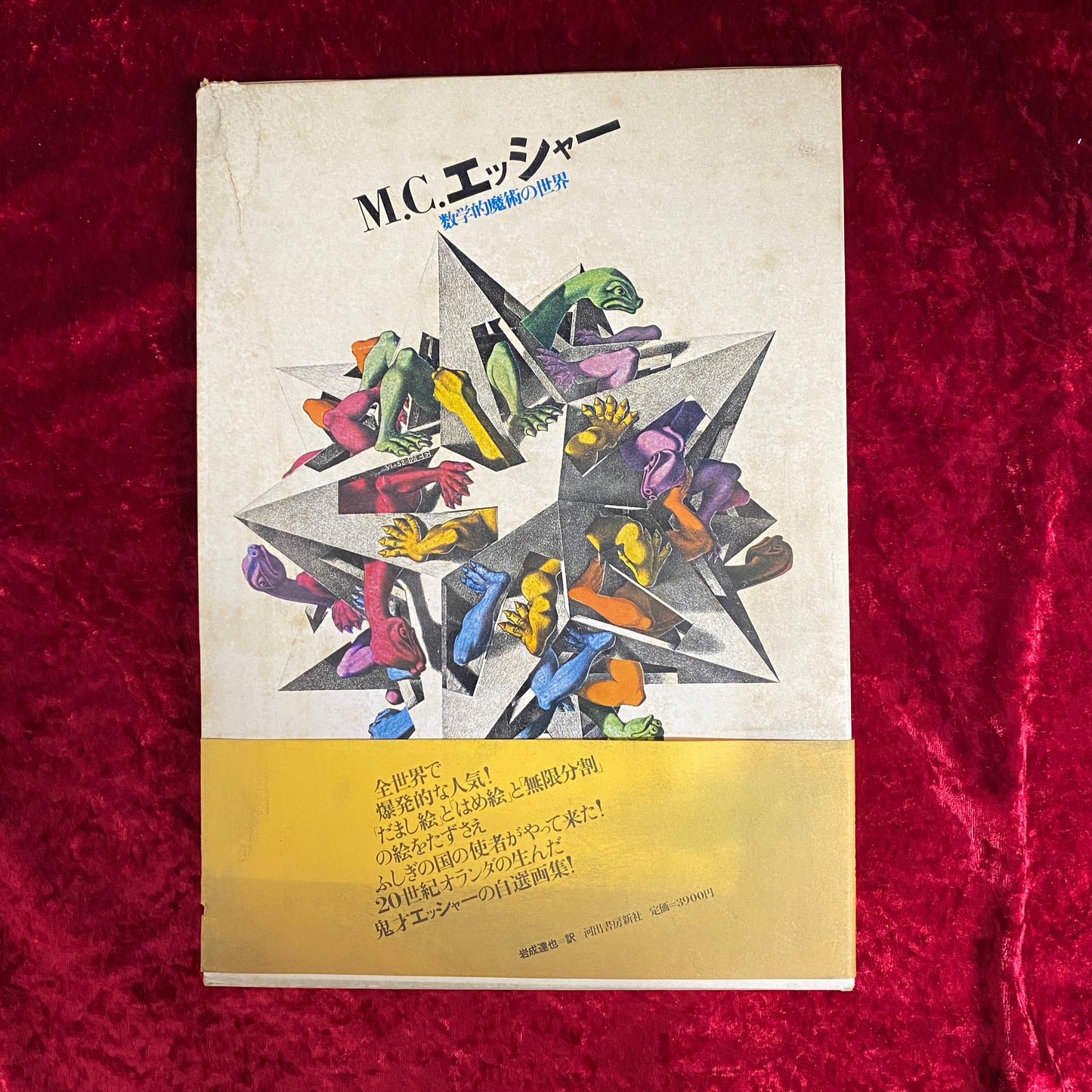 M.C.エッシャー : 数学的魔術の世界