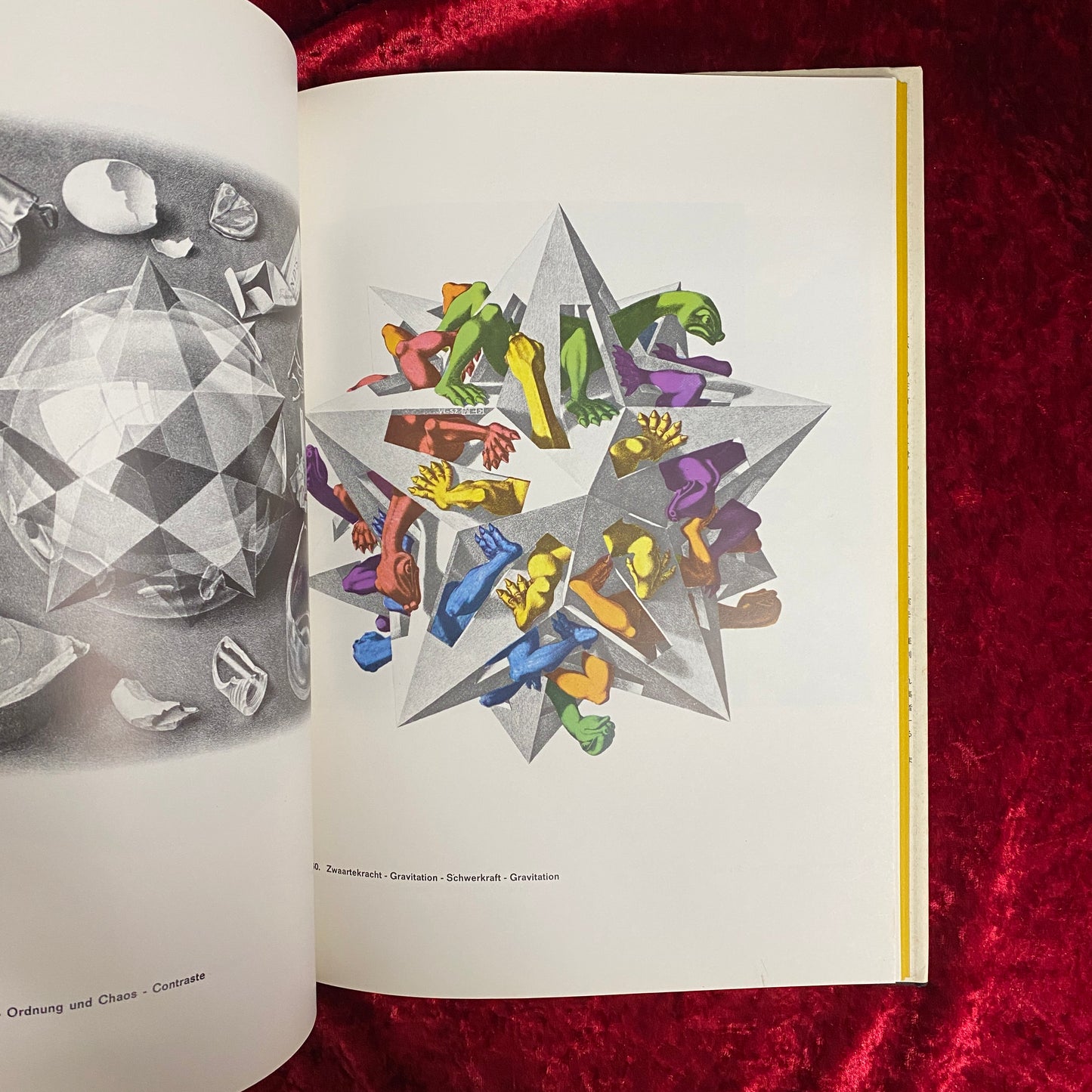 M.C.エッシャー : 数学的魔術の世界