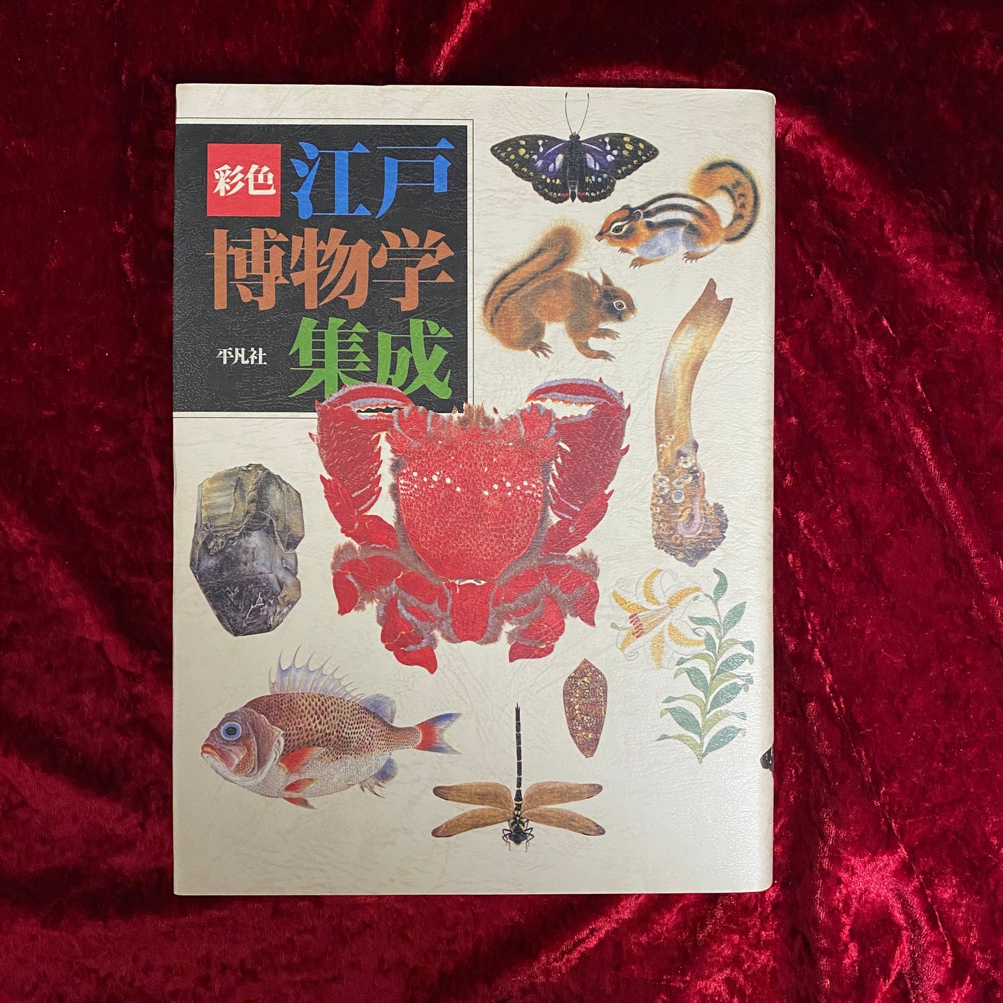 彩色江戸博物学集成