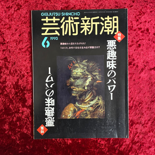 芸術新潮　＜1993年6月号＞　特集・悪趣味のパワー