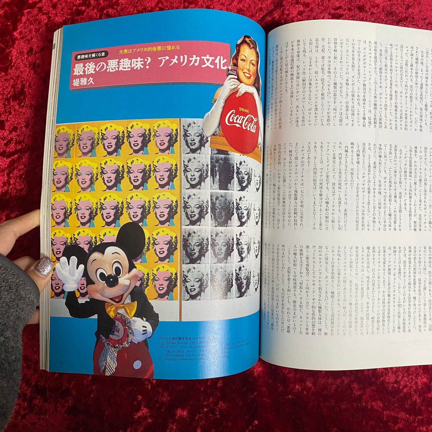 芸術新潮　＜1993年6月号＞　特集・悪趣味のパワー