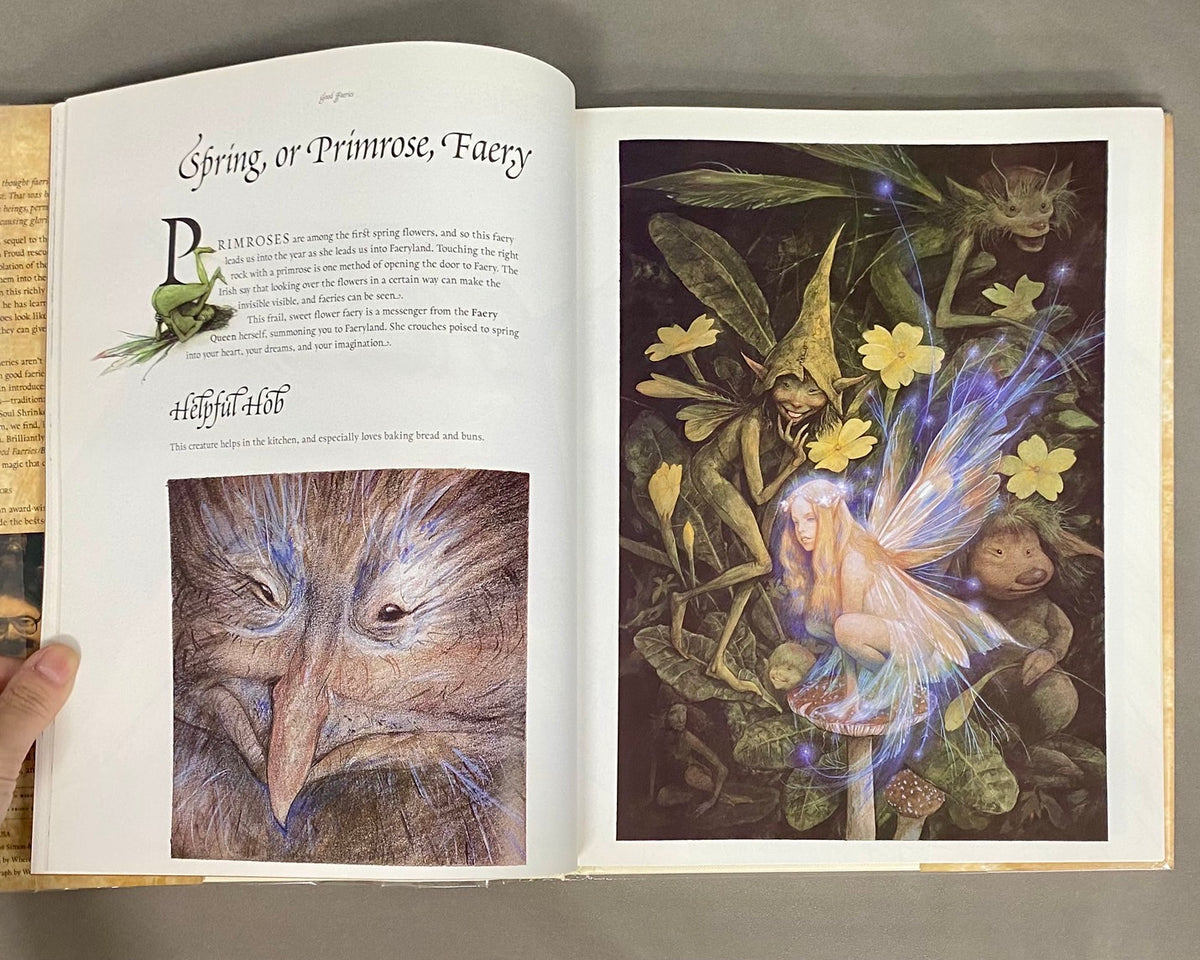 Lesser Faeries Good faeries ; Bad faeries – 古書ドリス
