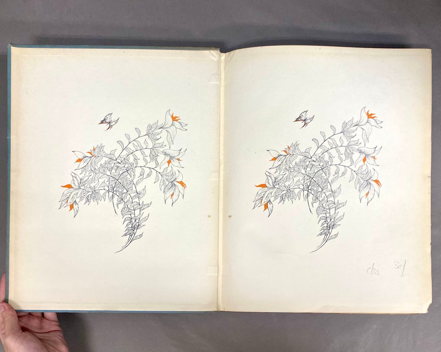 Ｍanon Lescaut　アラステア挿絵　アベ・プレヴォ著