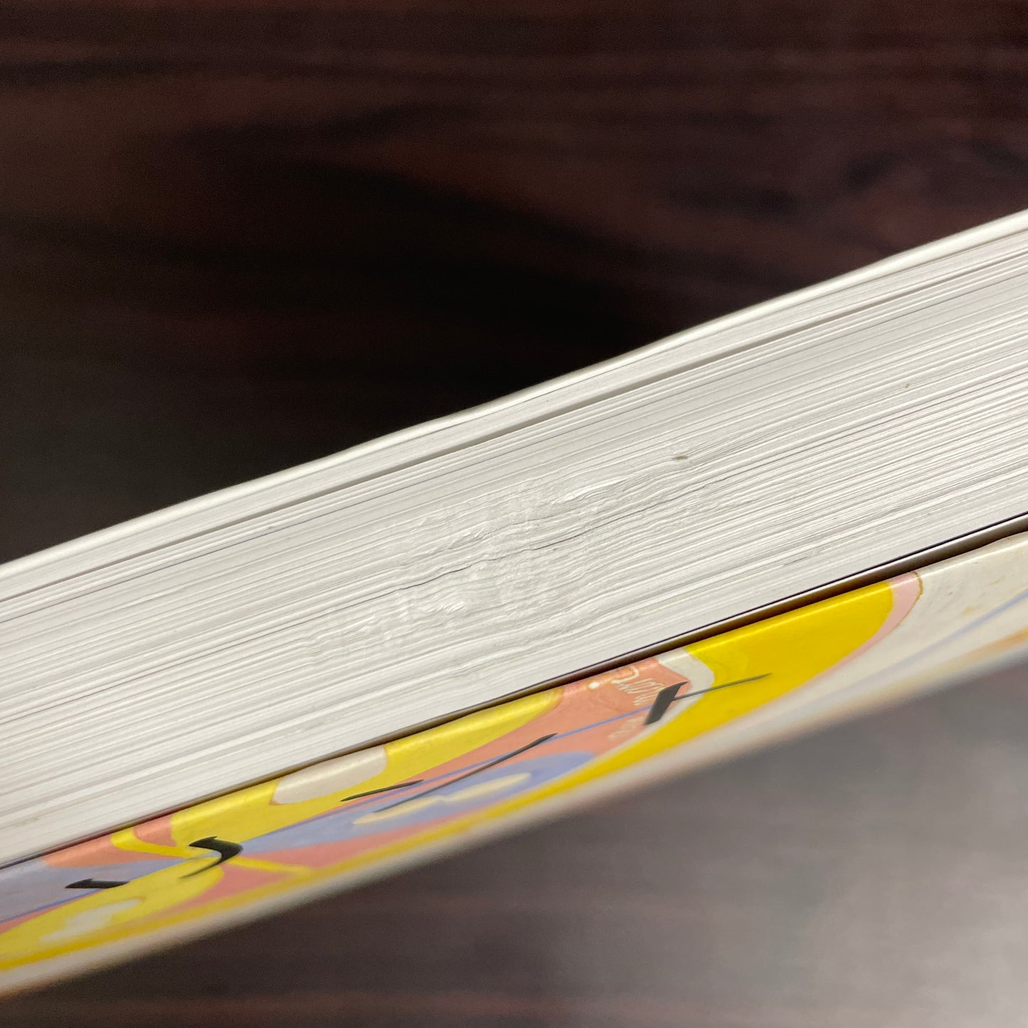 ヒルマ アフ クリント展 図録
