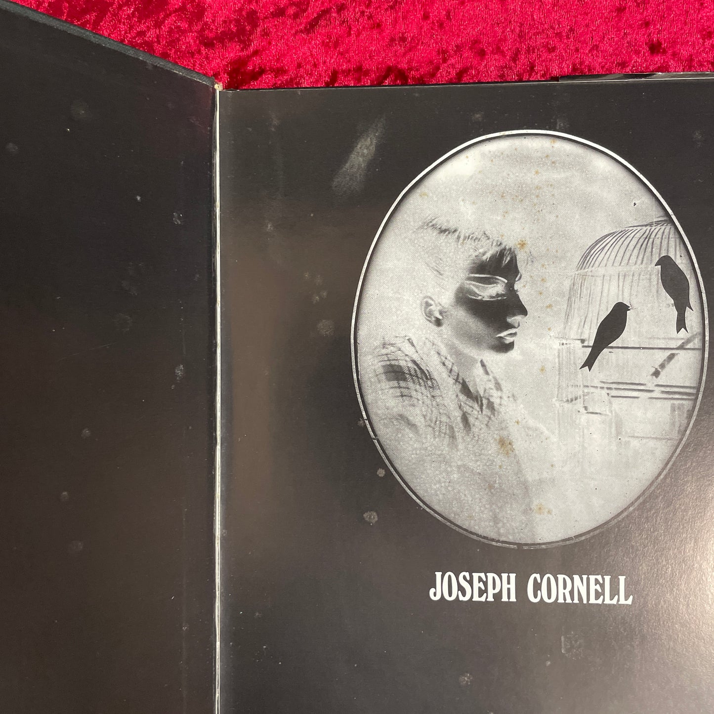 Joseph Cornell　洋書　ジョセフ・コーネル