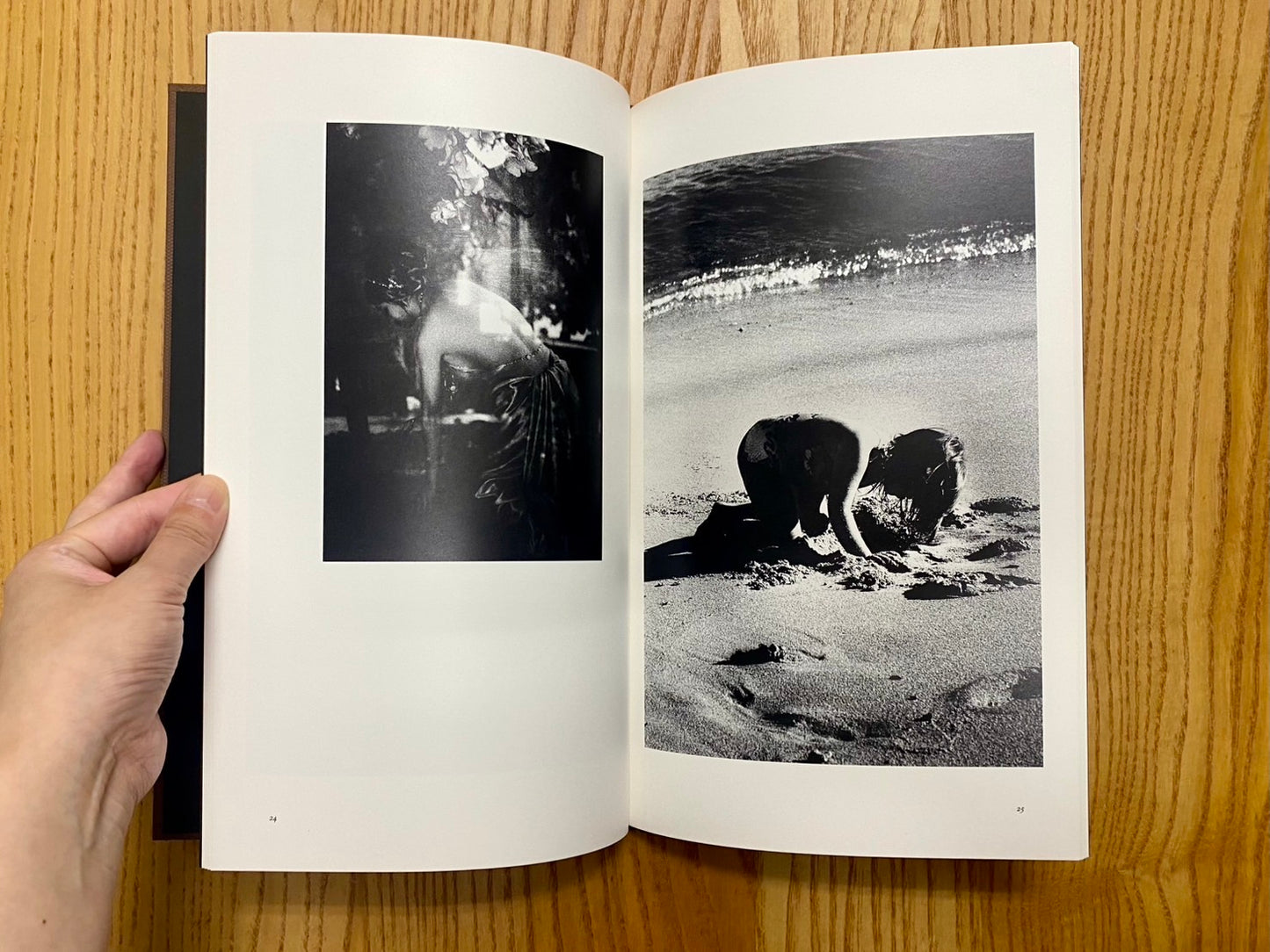 Daido Moriyama : sunflower ＜MMM＞　森山大道写真集　署名本