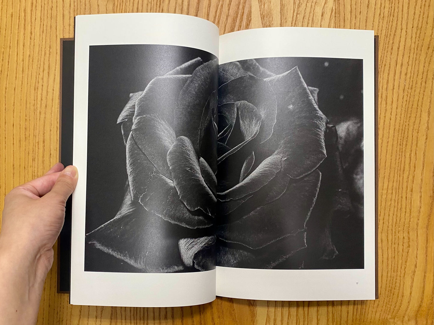 Daido Moriyama : sunflower ＜MMM＞　森山大道写真集　署名本