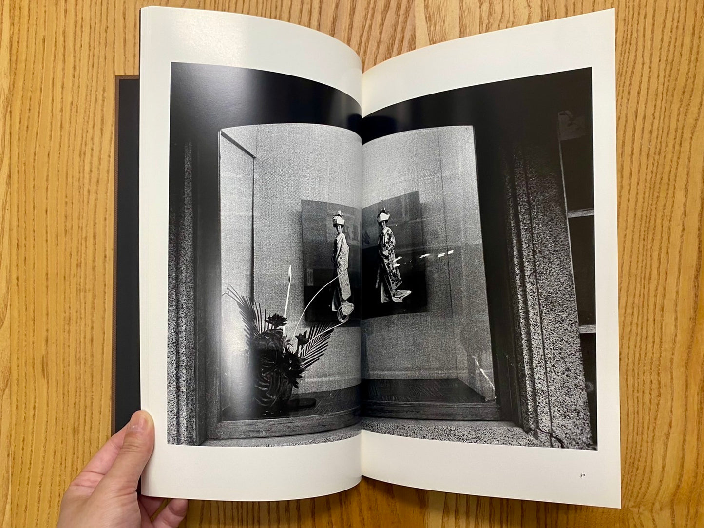 Daido Moriyama : sunflower ＜MMM＞　森山大道写真集　署名本