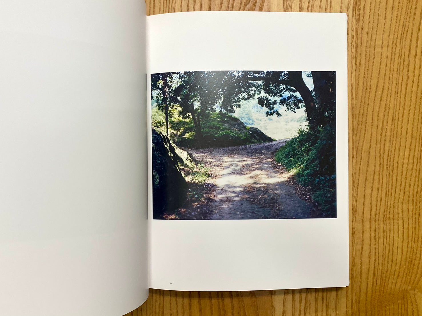 96183/図録 鈴木理策写真展 意識の流れ エディション・ノルト 東京