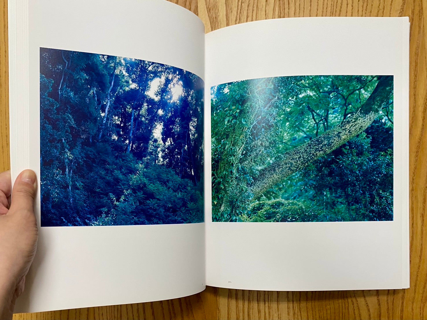 意識の流れ 鈴木理策写真集 署名本 – 古書ドリス