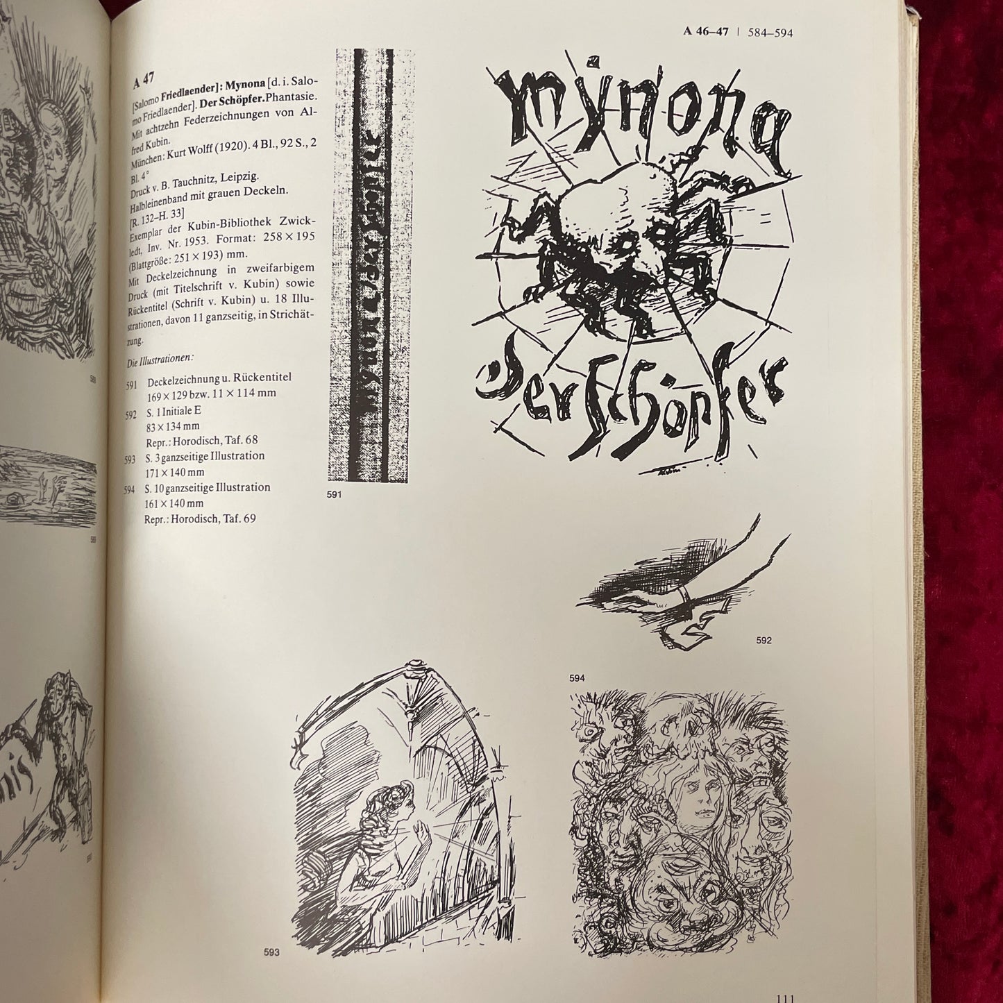 Der Illustrator Alfred Kubin　洋書　アルフレッド・クービン