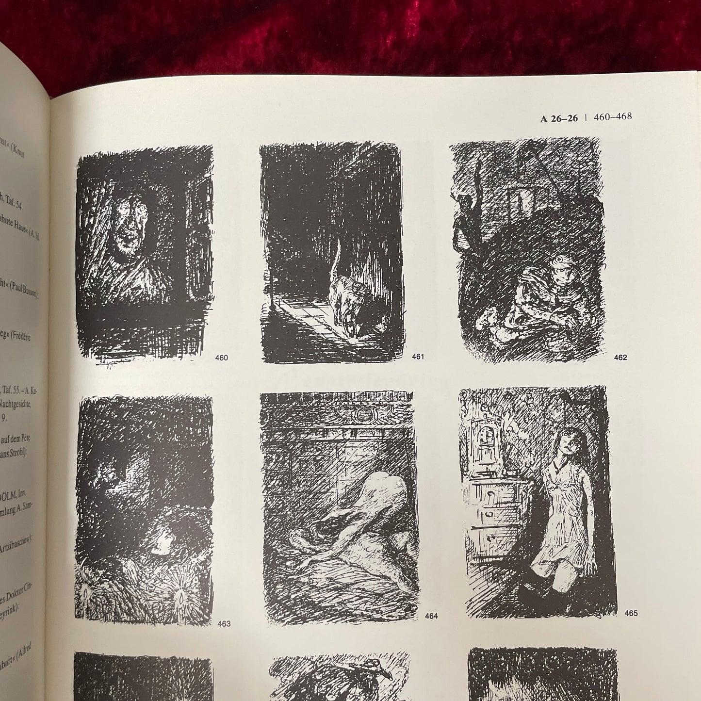 Der Illustrator Alfred Kubin　洋書　アルフレッド・クービン