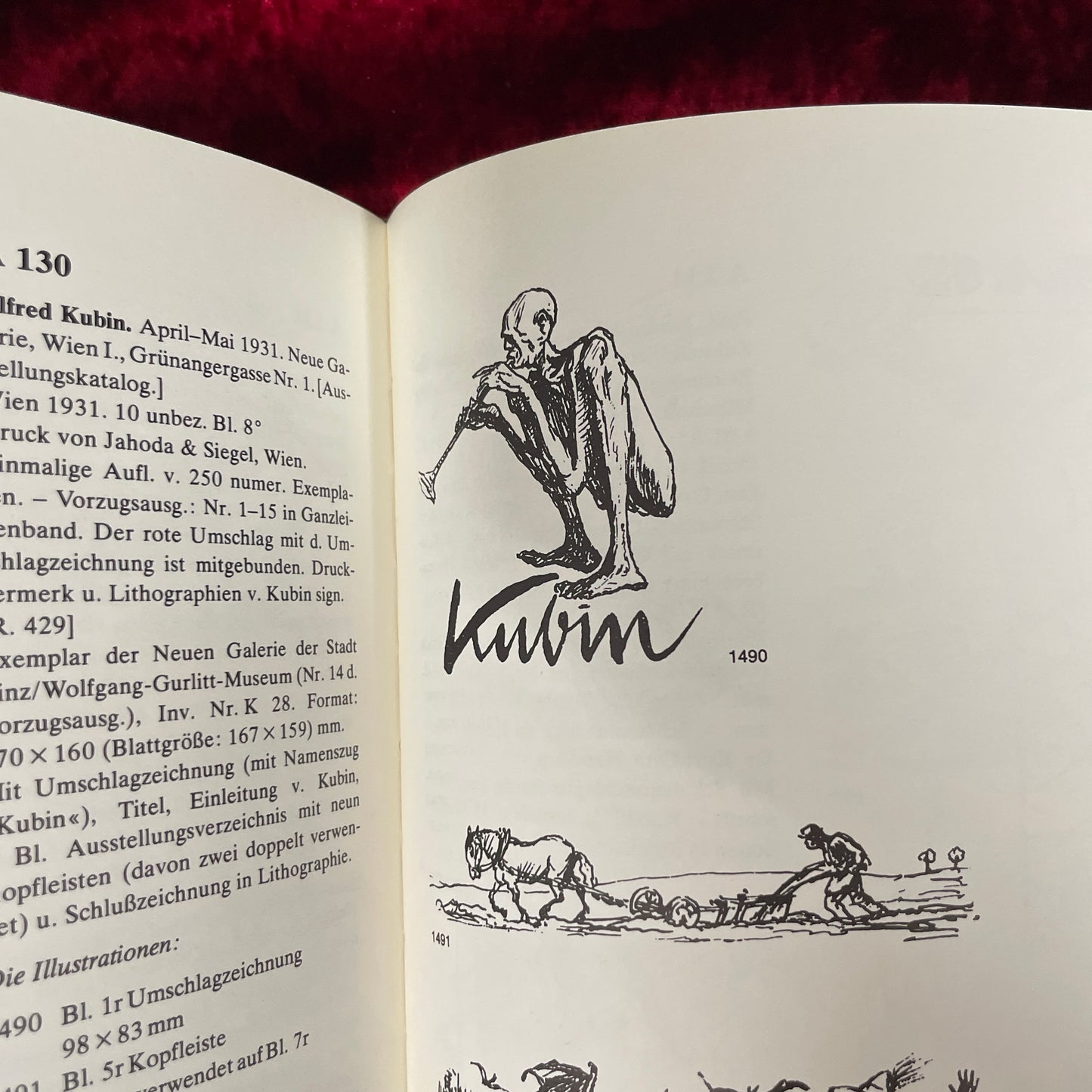 Der Illustrator Alfred Kubin　洋書　アルフレッド・クービン