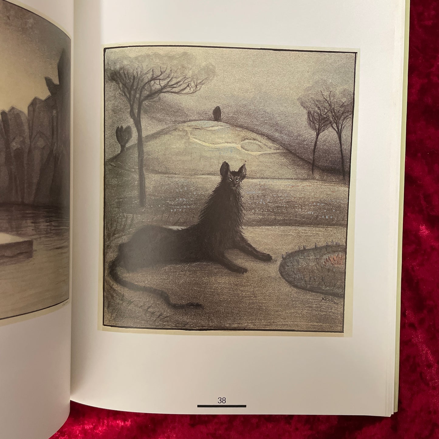 Alfred Kubin　Der Zeichner 1877 - 1959　洋書