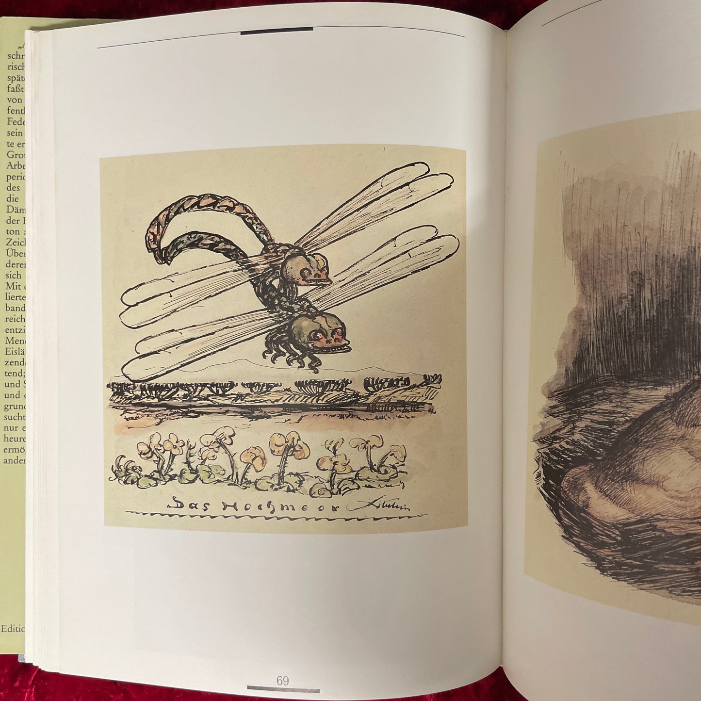 Alfred Kubin　Der Zeichner 1877 - 1959　洋書