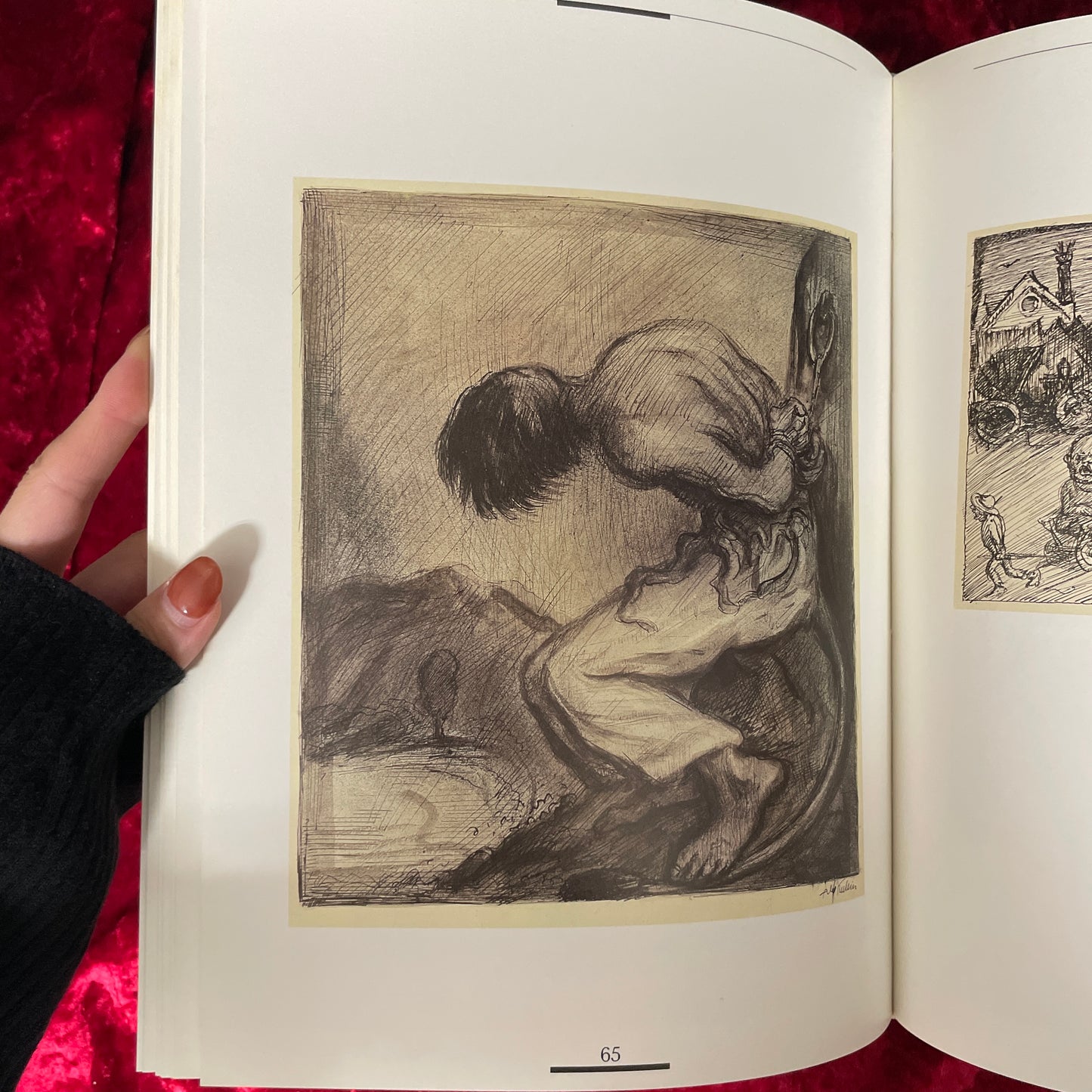 Alfred Kubin　Der Zeichner 1877 - 1959　洋書