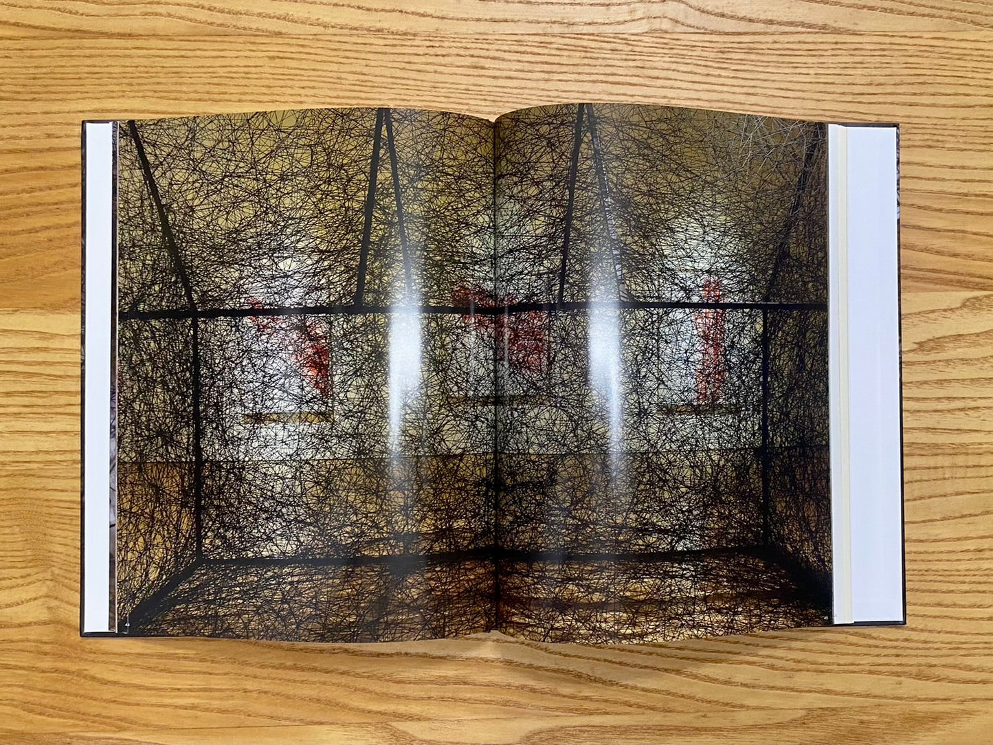 塩田千春展-ありがとうの手紙 = Chiharu Shiota "Letters of Thanks"