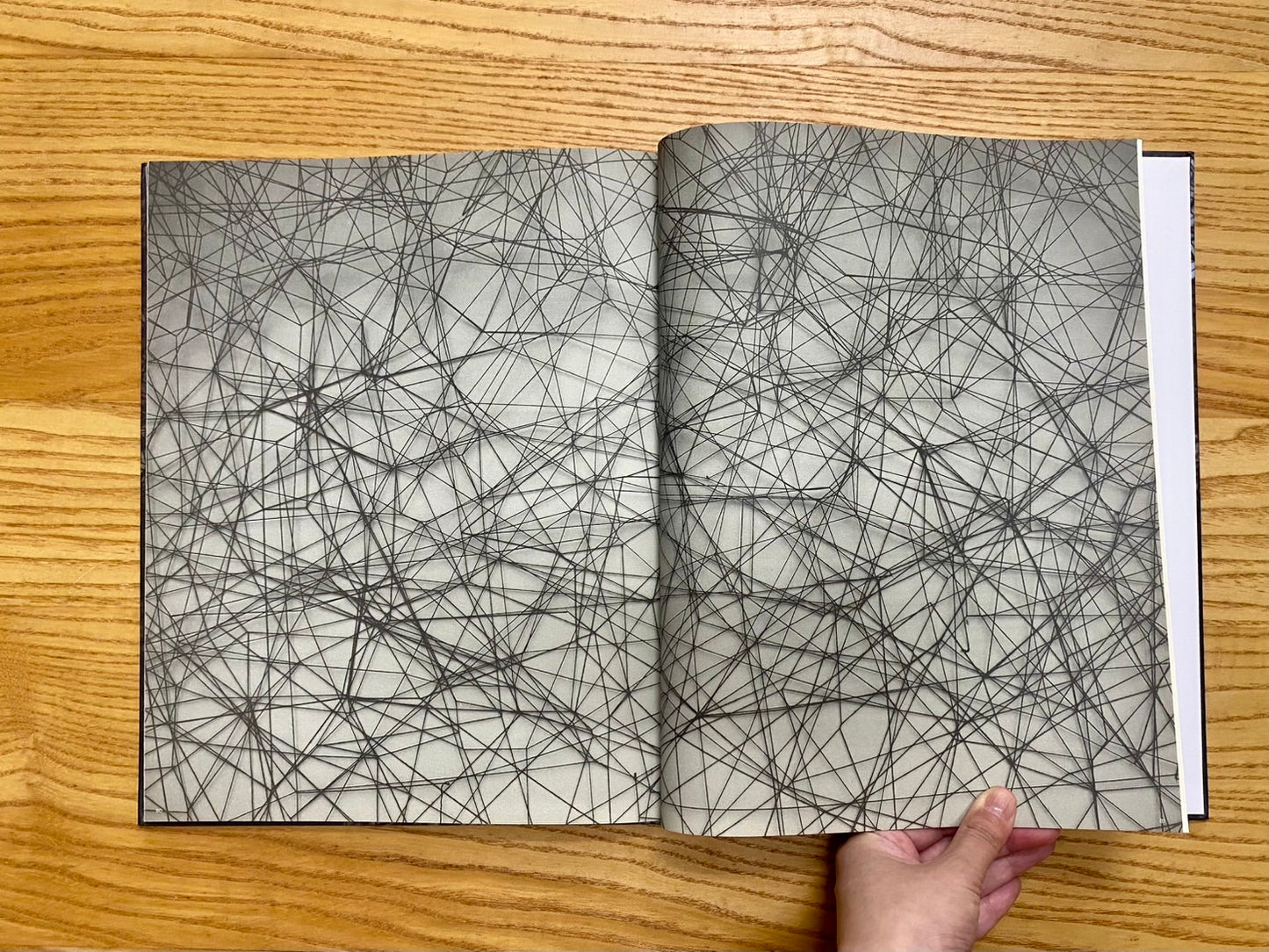 塩田千春展-ありがとうの手紙 = Chiharu Shiota "Letters of Thanks"