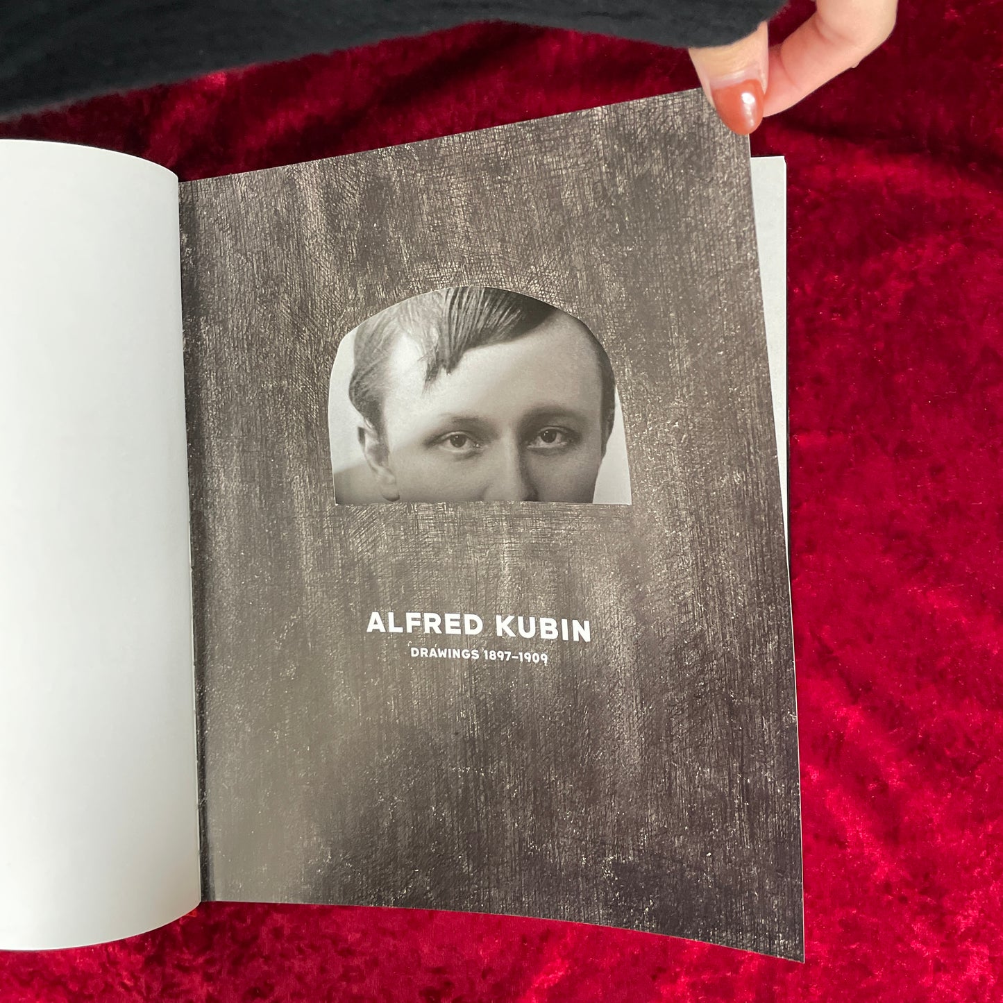 Alfred Kubin: Drawings, 1897-1909　洋書　アルフレッド・クービン