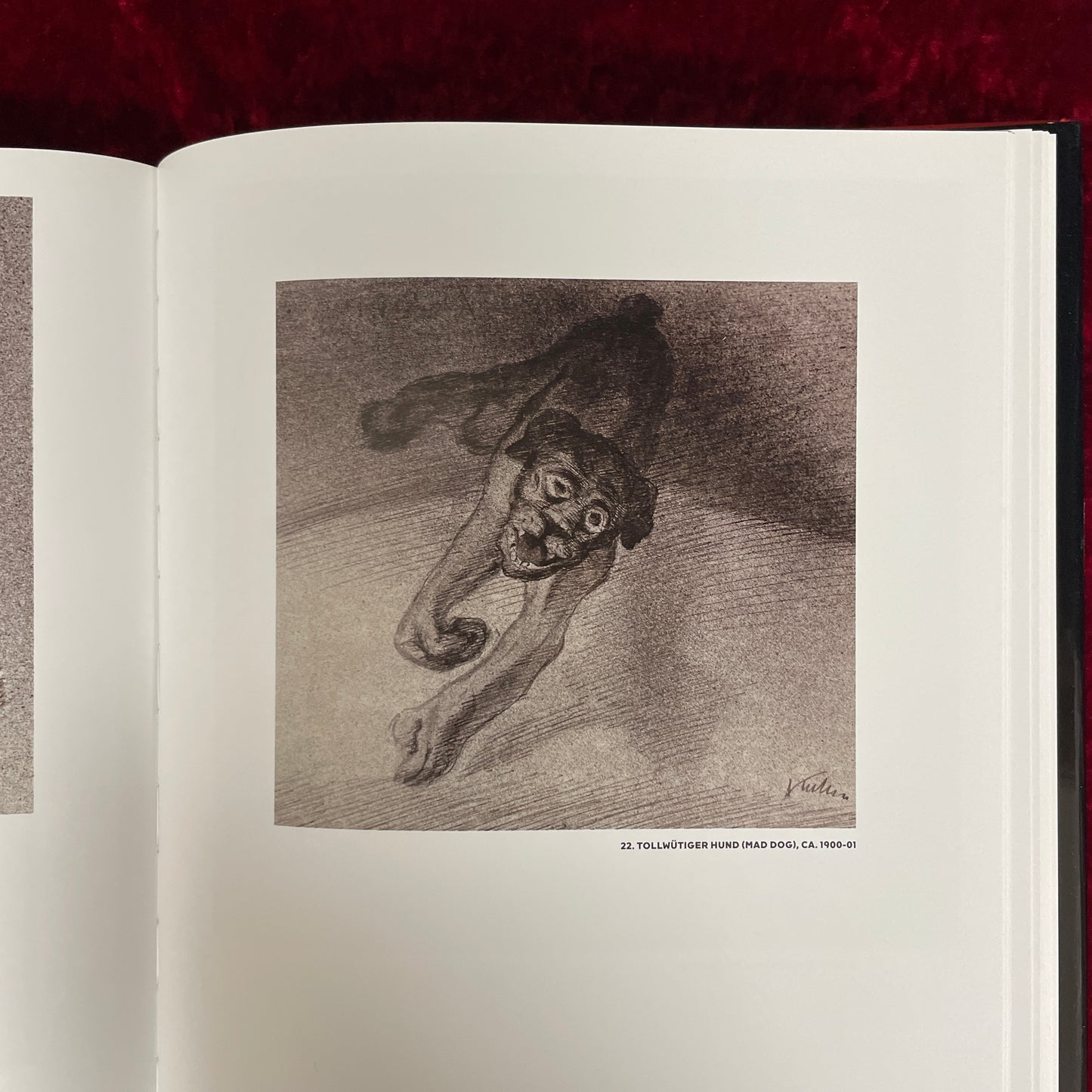 Alfred Kubin: Drawings, 1897-1909　洋書　アルフレッド・クービン