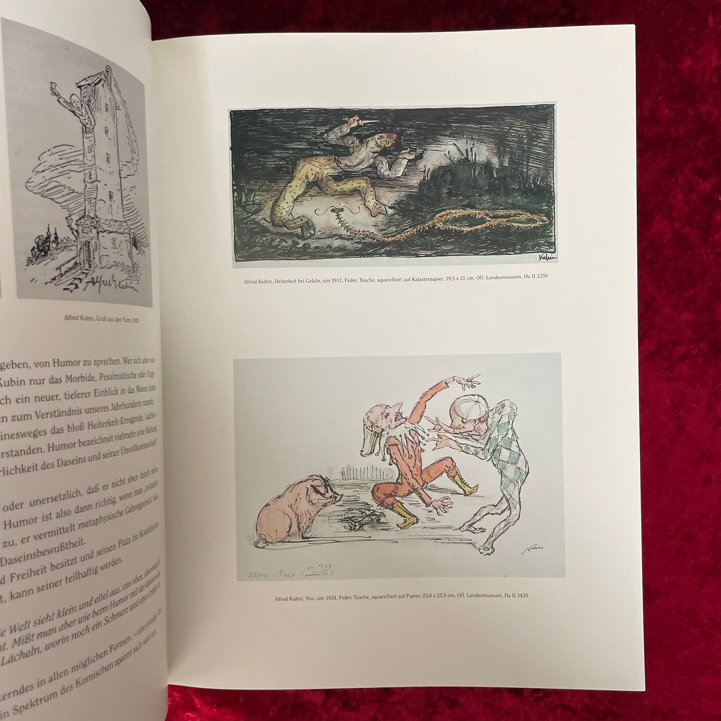 Alfred Kubin (1877-1959)　洋書 アルフレッド・クービン