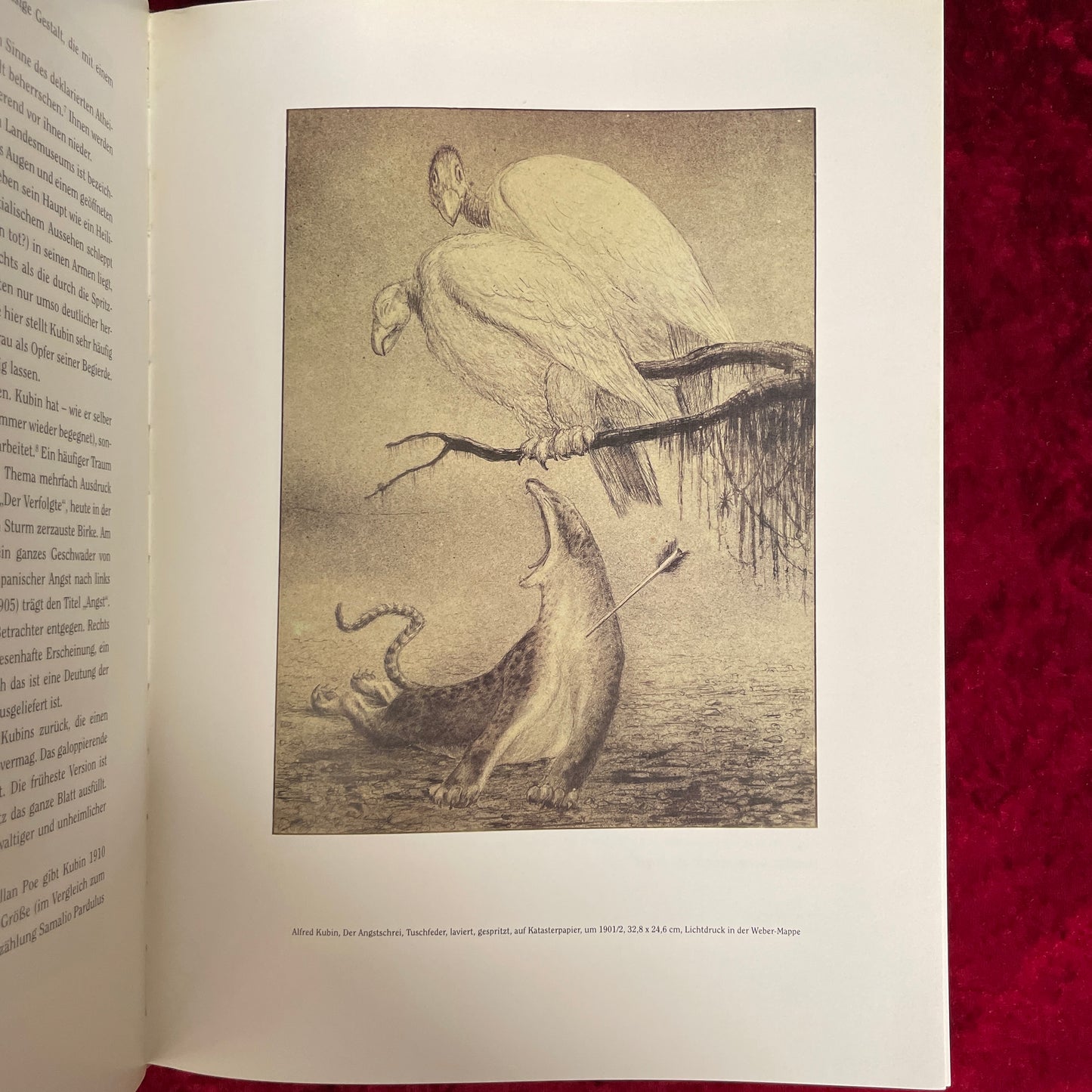 Alfred Kubin (1877-1959)　洋書 アルフレッド・クービン