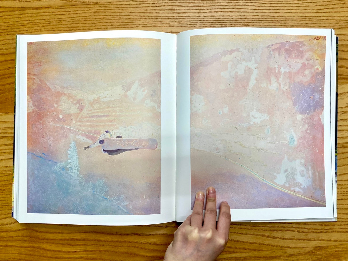 PETER DOIG　ピーター・ドイグ画集　洋書