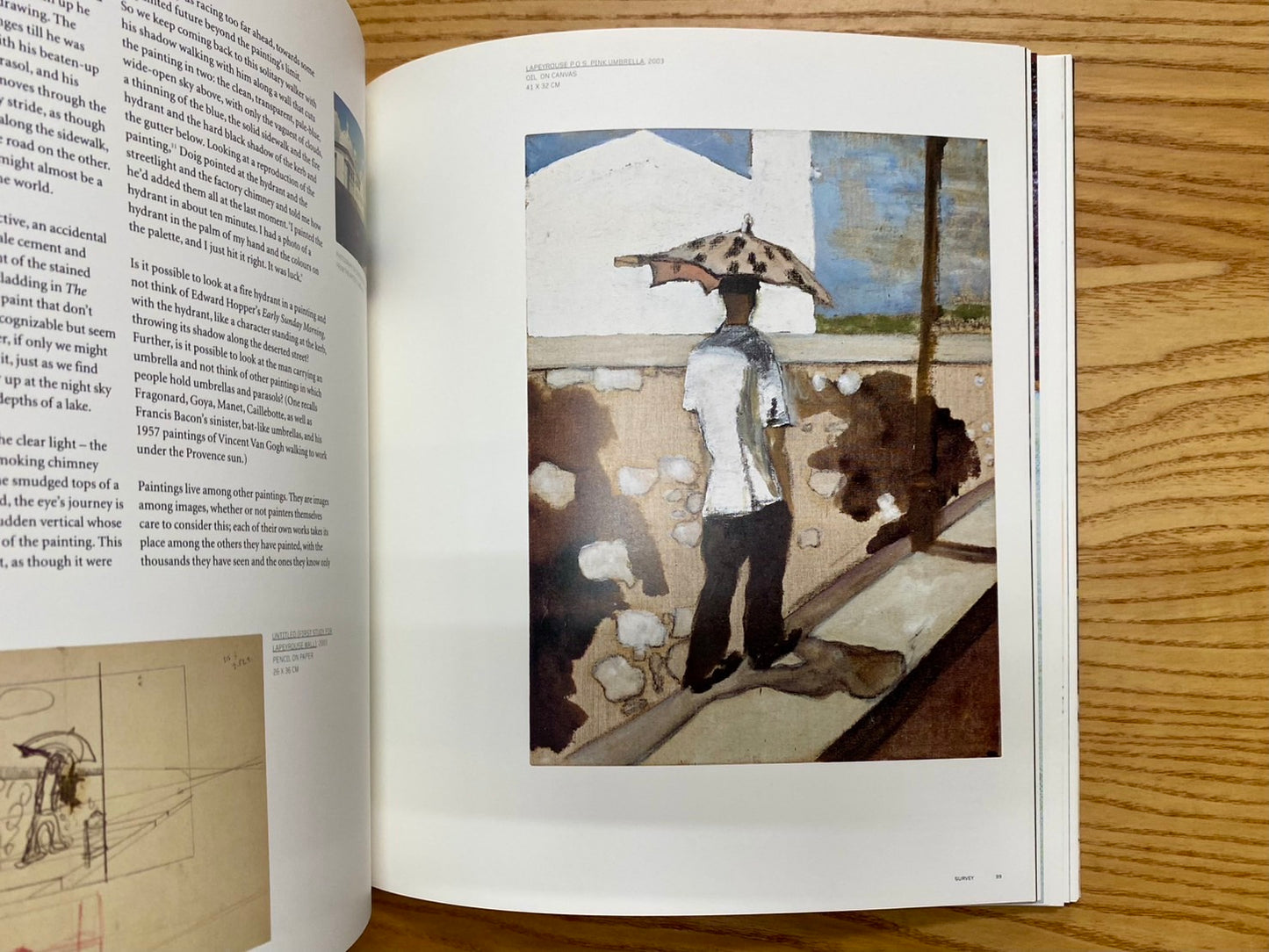 PETER DOIG　ピーター・ドイグ画集　洋書