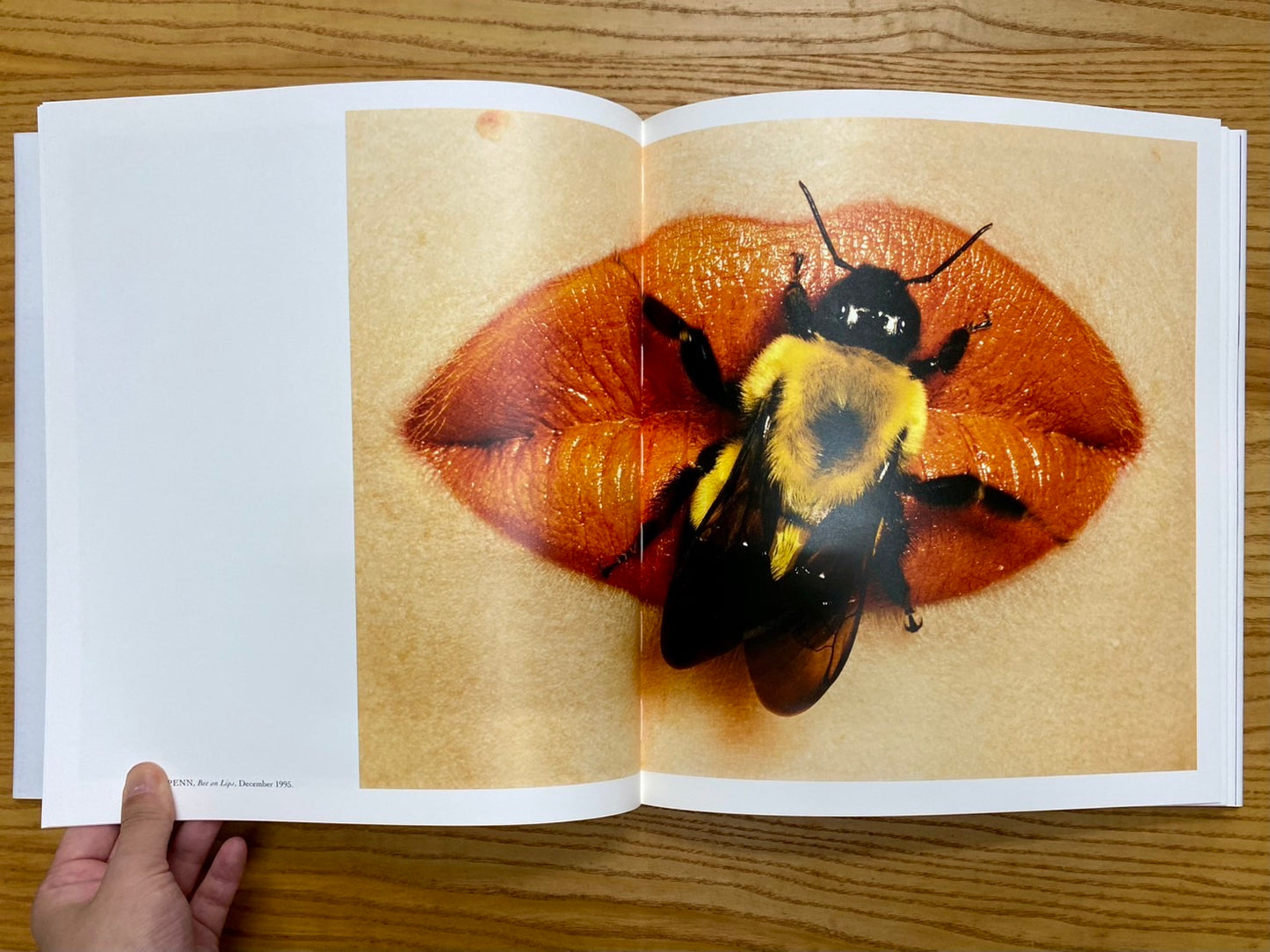 EXTREME BEAUTY VOGUE　尖鋭のファッション写真　洋書