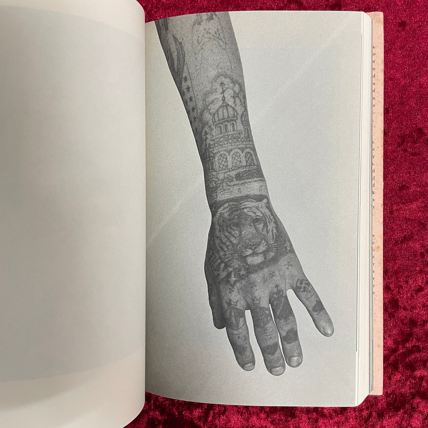 Russian Criminal Tattoo Encyclopaedia Volume I　洋書