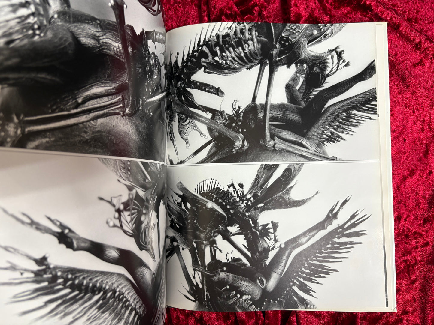 JEAN BENOIT　著：Annie le Brun　ジーン・ブノワ