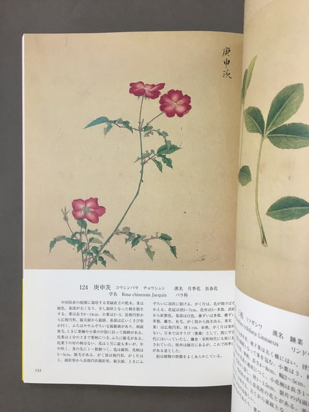 花木真寫 : 植物画の至宝　画：近衛豫楽院　監修・執筆：源豊宗, 北村四郎　解説：今橋理子