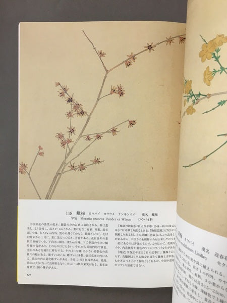 花木真寫 : 植物画の至宝　画：近衛豫楽院　監修・執筆：源豊宗, 北村四郎　解説：今橋理子