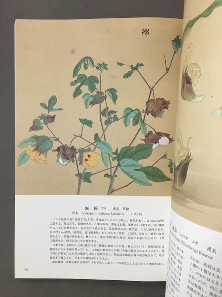 花木真寫 : 植物画の至宝　画：近衛豫楽院　監修・執筆：源豊宗, 北村四郎　解説：今橋理子